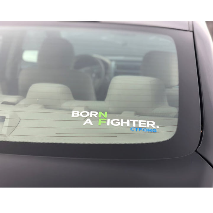 Born A Fighter Vinyl Decal
