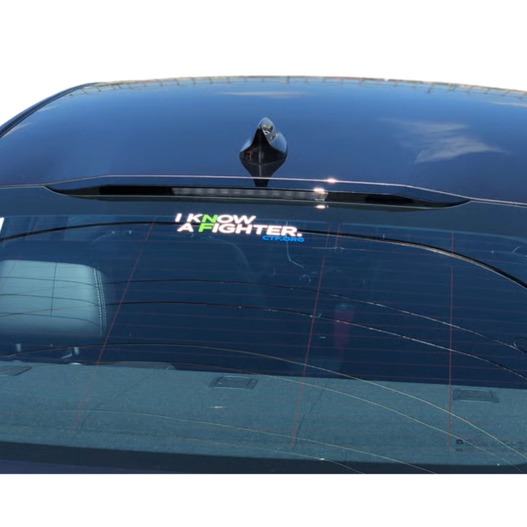 I Know a Fighter Vinyl Decal