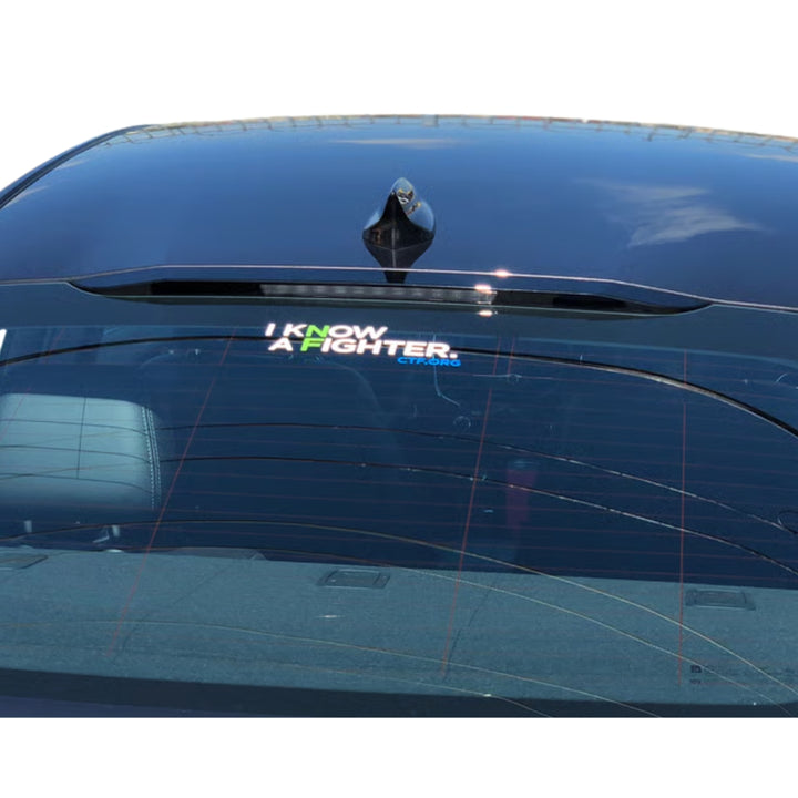 I Know a Fighter Vinyl Decal