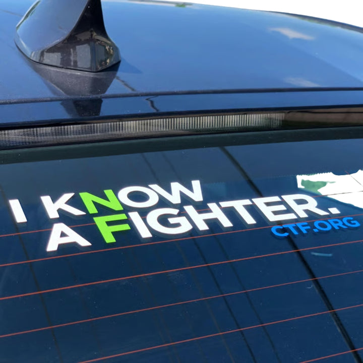 I Know a Fighter Vinyl Decal